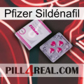 Pfizer Sildénafil 32